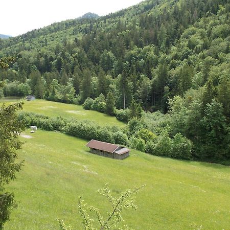 Kleine Einfache Ferienwohnung In Malerischer Umgebung Salzburgs Koppl Ngoại thất bức ảnh